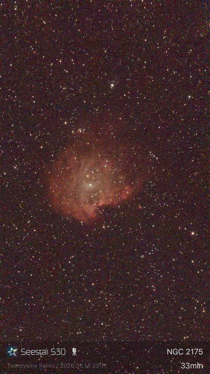 NGC 2175 - The Monkey Head Nebula